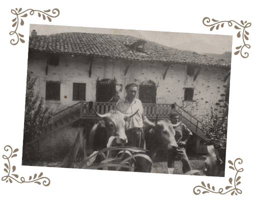 urikoacaserio3